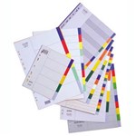 BANTEX PP 10 TAB COLOURED PP A4 DIVIDER