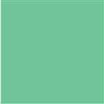 COLOURFUL DAYS COLOURBOARD 200GSM 510 X 640 GREEN