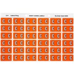 AVERY 43303 LATERAL FILE LABEL SIDE TAB COLOUR CODE C 25 X 38MM ORANGE PACK 180