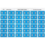 AVERY 43308 LATERAL FILE LABEL SIDE TAB COLOUR CODE H 25 X 38MM BLUE PACK 180