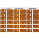 AVERY 43312 LATERAL FILE LABEL SIDE TAB COLOUR CODE L 25 X 38MM MUSTARD PACK 180