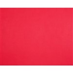 QUILL BOARD 210GSM 510 X 635MM RED PACK 20