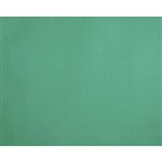 QUILL BOARD 210GSM 510 X 635MM GREEN