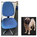 ONPB CODY  CHAIR HIGH BACK   AUSTRALIAN MADE  AFRDI CERTIFIED  160KG RATED  EXTRA WIDE SEAT  SEAT SLIDE  BLUE 