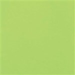 COLOURFUL DAYS COLOURBOARD 160GSM A4 LIME GREEN PACK 100