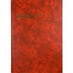 COLLINS 3880 SERIES ACCOUNT BOOK 4 MONEY COLUMN 84 LEAF A4 RED