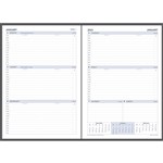 DEBDEN DAYPLANNER 819363 EXECUTIVE EDITION REFILL WEEK TO VIEW