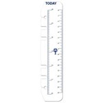 DEBDEN DAYPLANNER PR2008 PERSONAL EDITION REFILL TODAY RULERS SIZE PACK 2