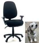 ONPB DUKE CHAIR  HIGH BACK   AUSTRALIAN MADE  AFRDI CERT  MULTI USER 247  200KG RATED  LUMBAR SEAT SLIDE  ADJ ARMS  BLACK 