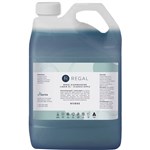 REGAL CLASSIC DISHWASHING LIQUID APPLE PERFUME 5 LITRE