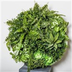 PLANT IMAGE VERTICAL WALL GARDEN ROUND SMALL