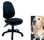 ONPB REMY CHAIR  HIGH BACK  AUSTRALIAN MADE  AFRDI CERTIFIED  160KG RATED  247 FULLY ERGO WITH LUMBAR BACK BLUE