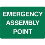 BRADY EMERGENCY SIGN ASSEMBLY POINT 250 X 180MM VINYL